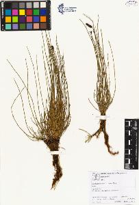 SW_BNB_s3070-00432_IMG-0000000001