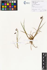 SW_BNB_s3070-00433_IMG-0000000001