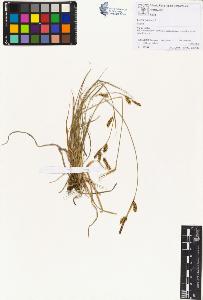 SW_BNB_s3070-00434_IMG-0000000001