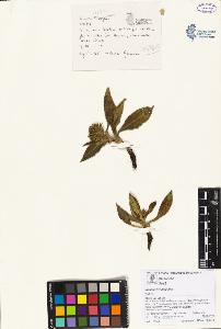 SW_BNB_s3070-00437_IMG-0000000001