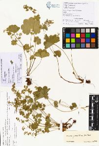 SW_BNB_s3070-00440_IMG-0000000001