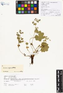 SW_BNB_s3070-00442_IMG-0000000001