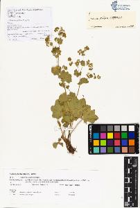 SW_BNB_s3070-00443_IMG-0000000001