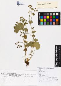 SW_BNB_s3070-00445_IMG-0000000001