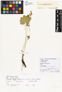 SW_BNB_s3070-00447_IMG-0000000001