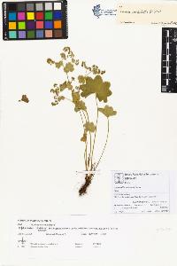 SW_BNB_s3070-00448_IMG-0000000001