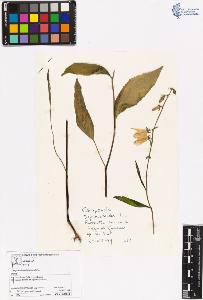 SW_BNB_s3070-00451_IMG-0000000001