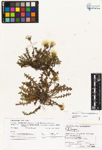 SW_BNB_s3070-00469_IMG-0000000001