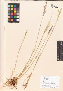 SW_BNB_s3070-00473_IMG-0000000001