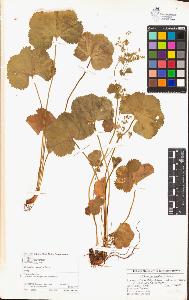 SW_BNB_s3070-00479_IMG-0000000001