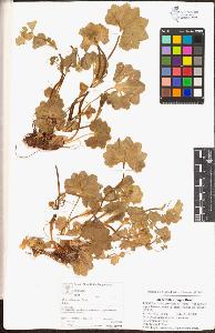 SW_BNB_s3070-00482_IMG-0000000001