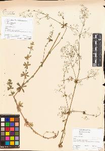 SW_BNB_s3070-00485_IMG-0000000001