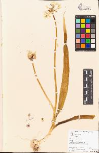 SW_BNB_s3070-00491_IMG-0000000001