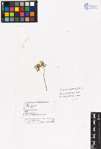 SW_BNB_s3070-00495_IMG-0000000001