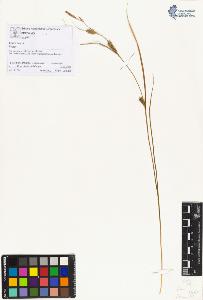 SW_BNB_s3070-00498_IMG-0000000001