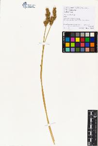 SW_BNB_s3070-00499_IMG-0000000001