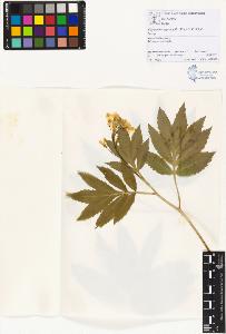 SW_BNB_s3070-00503_IMG-0000000001