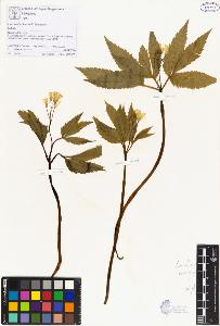 SW_BNB_s3070-00504_IMG-0000000001