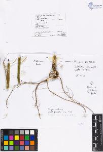 SW_BNB_s3070-00506_IMG-0000000001
