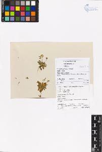 SW_BNB_s3070-00510_IMG-0000000001