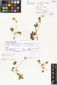 SW_BNB_s3070-00512_IMG-0000000001