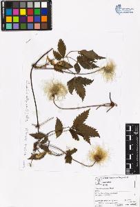 SW_BNB_s3070-00514_IMG-0000000001