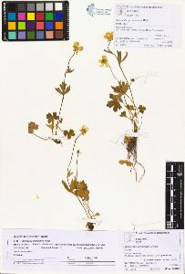 SW_BNB_s3070-00516_IMG-0000000001