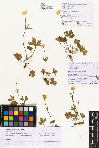SW_BNB_s3070-00517_IMG-0000000001