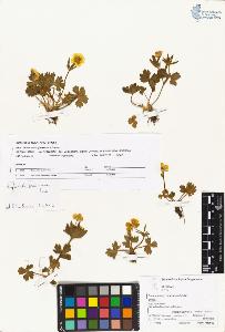 SW_BNB_s3070-00518_IMG-0000000001