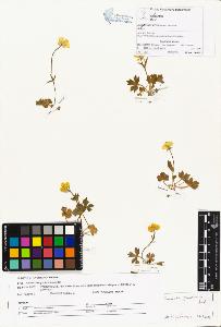 SW_BNB_s3070-00519_IMG-0000000001