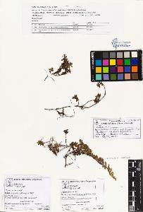 SW_BNB_s3070-00521_IMG-0000000001