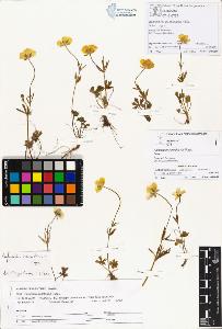 SW_BNB_s3070-00523_IMG-0000000001