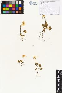 SW_BNB_s3070-00528_IMG-0000000001