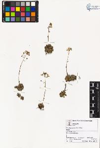 SW_BNB_s3070-00530_IMG-0000000001