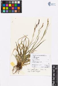 SW_BNB_s3070-00532_IMG-0000000001