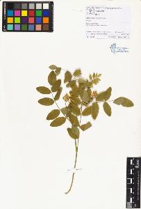 SW_BNB_s3070-00533_IMG-0000000001