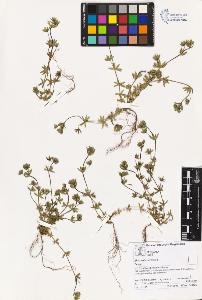 SW_BNB_s3070-00538_IMG-0000000001