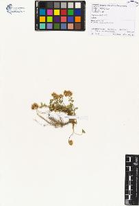 SW_BNB_s3070-00539_IMG-0000000001