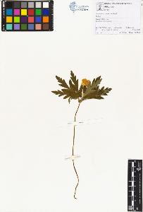 SW_BNB_s3070-00542_IMG-0000000001