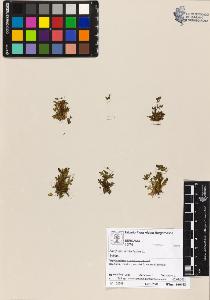 SW_BNB_s3070-00544_IMG-0000000001