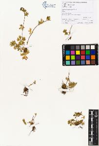 SW_BNB_s3070-00545_IMG-0000000001