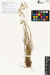 SW_BNB_s3070-00546_IMG-0000000001