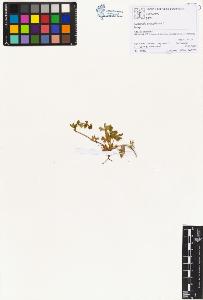 SW_BNB_s3070-00547_IMG-0000000001