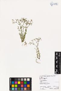 SW_BNB_s3070-00549_IMG-0000000001