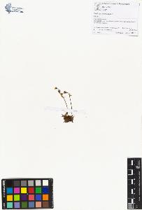 SW_BNB_s3070-00550_IMG-0000000001