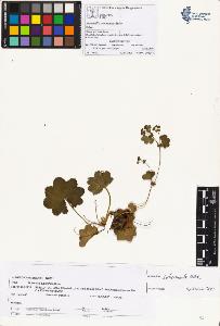 SW_BNB_s3070-00555_IMG-0000000001