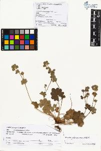 SW_BNB_s3070-00559_IMG-0000000001