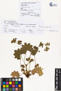 SW_BNB_s3070-00561_IMG-0000000001