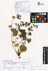 SW_BNB_s3070-00562_IMG-0000000001