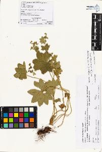 SW_BNB_s3070-00565_IMG-0000000001